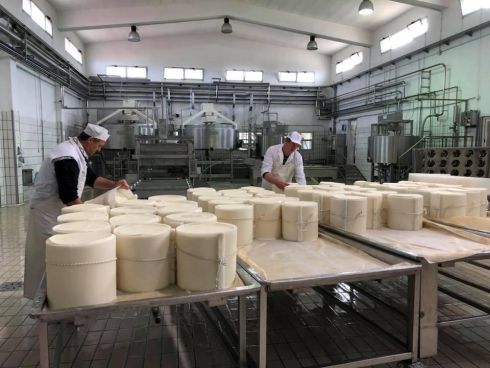 1550657411727 13 formaggio cooperativa allevatori sulcitani