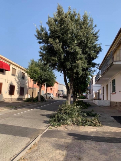 Pulizia, decoro urbano e verde pubblico