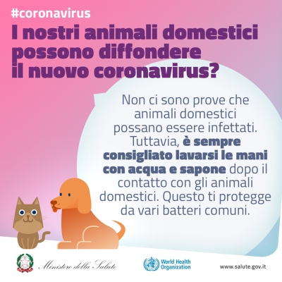 I nostri animali possono diffondere il Covid-19?