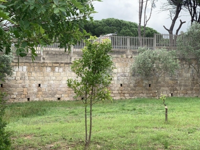 Scuola primaria Ciusa: sistemazione area verde per bambini e manutenzione straordinaria solai mensa